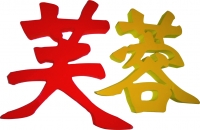 彩色弗龙板